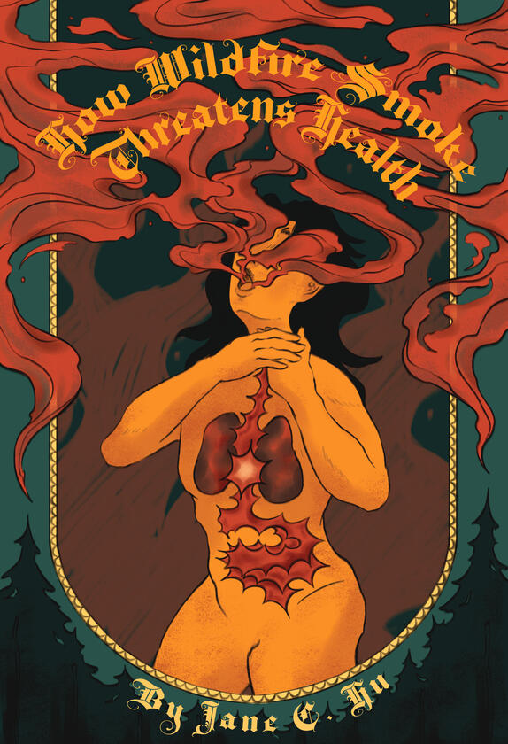 How Wildfire Smoke Threatens Health, Procreate, 2024