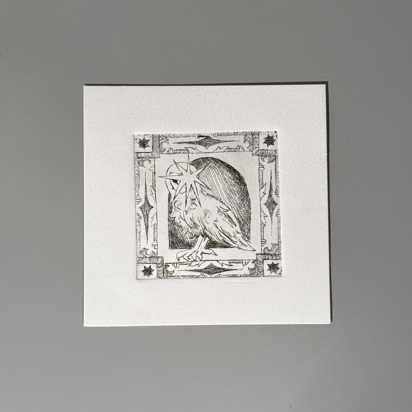 Untitled, Procreate, 2023